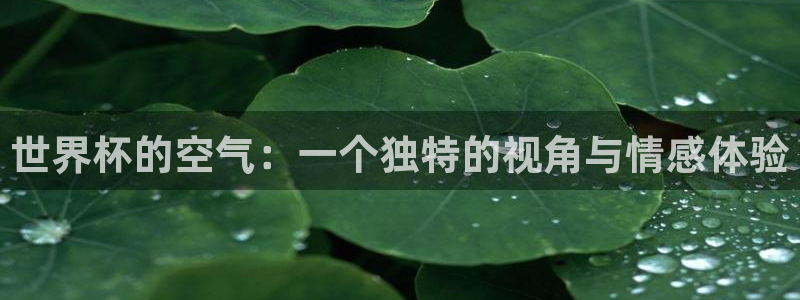 世预赛赛程表:世界杯的空气:一个独特的视角与情感体验