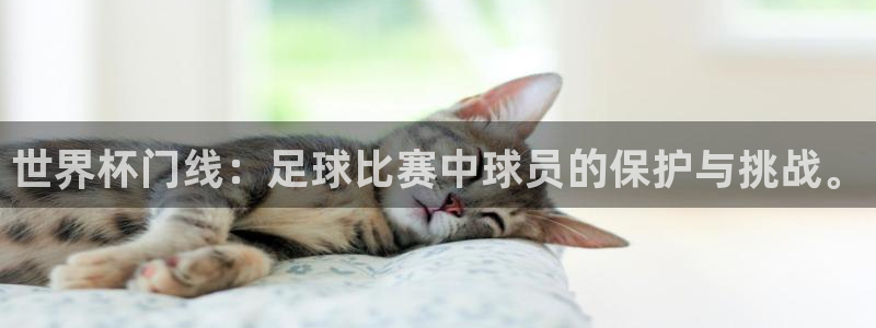 世界杯决赛直播:世界杯门线:足球比赛中球员的保护与挑战。