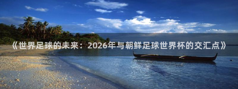 世界杯赛程2026:《世界足球的未来:2026年与朝鲜足球世界杯的交汇点》
