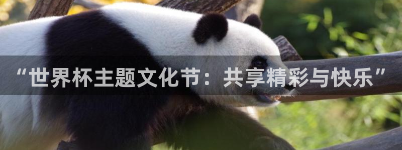 世界杯赛程表:“世界杯主题文化节:共享精彩与快乐”