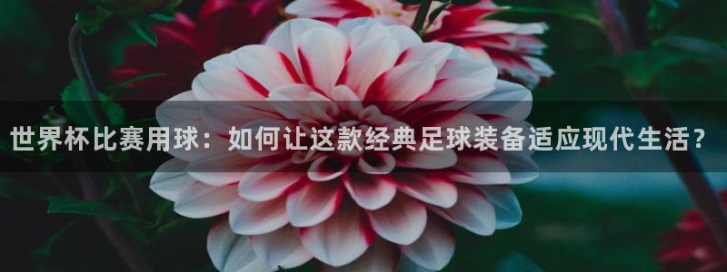 世界杯在线直播入口:世界杯比赛用球:如何让这款经典足球装备适应现代生活?