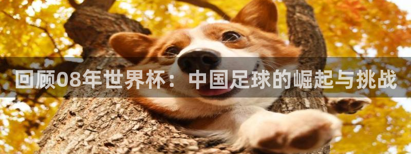 足球杯:回顾08年世界杯:中国足球的崛起与挑战